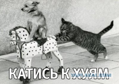 Кому живётся муторно, невкусно на Руси