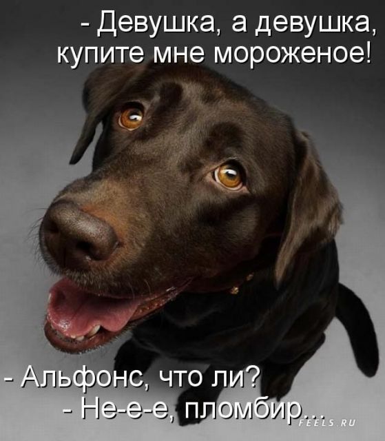 Звезды и их молодые любовники