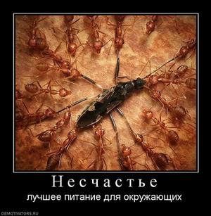 Давно демотиваторов не было