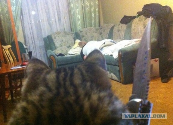 Он мешал делать ремонт..