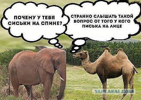 Вторничные картинки