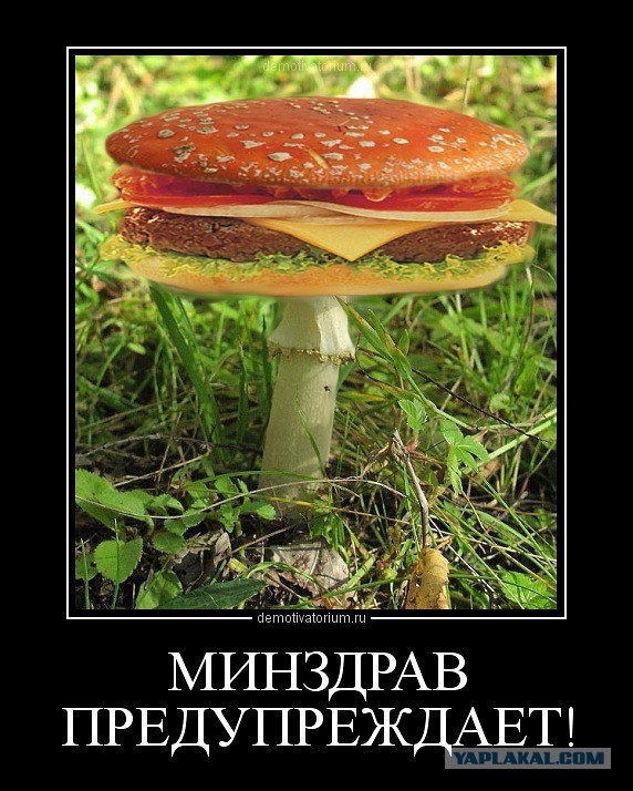 Любимая ГРИБОСРЕДА – опять нас радует всегда!