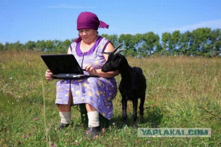 Просто картинки
