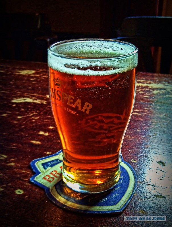 Пост обожания пива