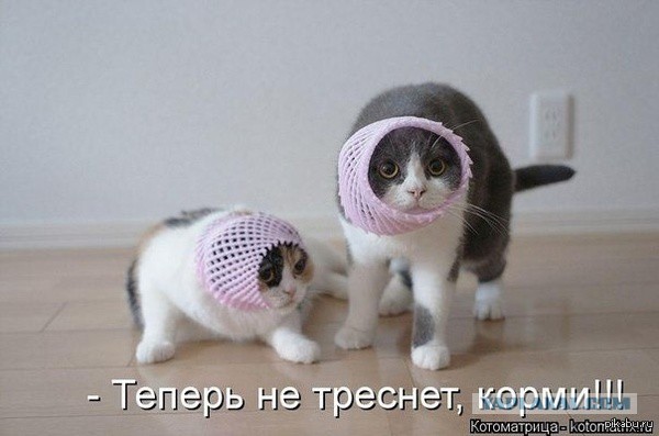 Плюшкиным посвящается
