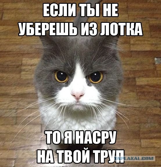 Вот такой поворот