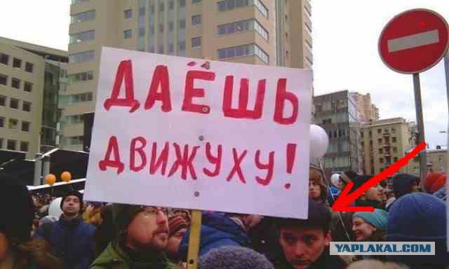 Прикольные картинки