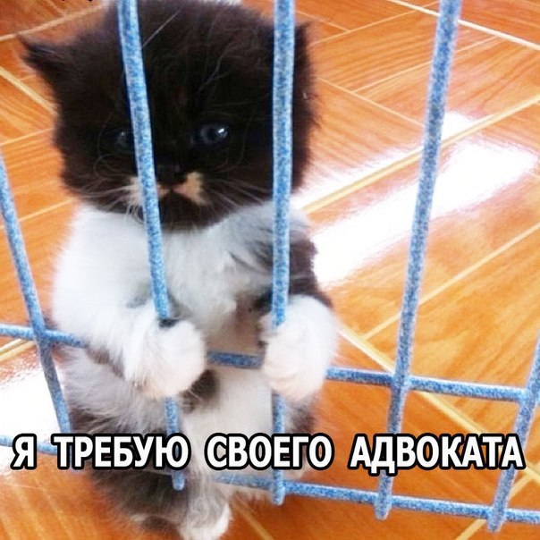 Картинки на пятницу