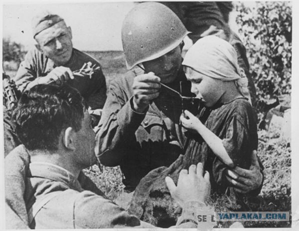 Завалили трупами