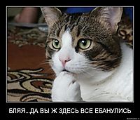 Как душатся арабки