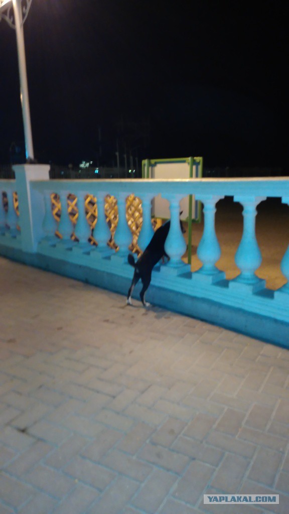 Вечерний Геленджик