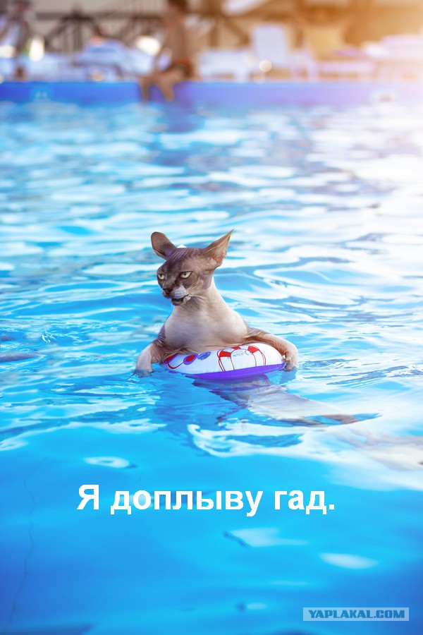 Картинки разные