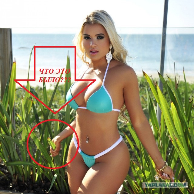 Девушки в купальниках