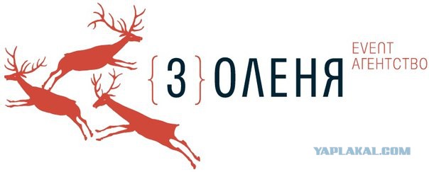 Авария на КАД из-за жучки за рулем!