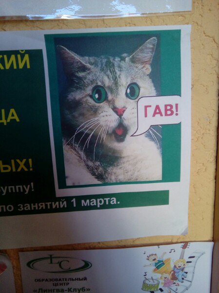 Подборка интересных и веселых картинок