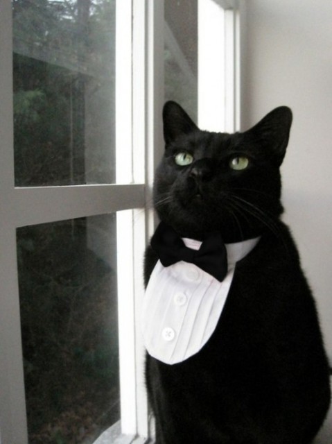 Котлета