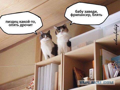 Ничихуа-хуа себе! 18+