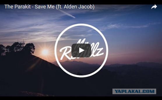 Смешные комментарии из социальных сетей 16.09.2016