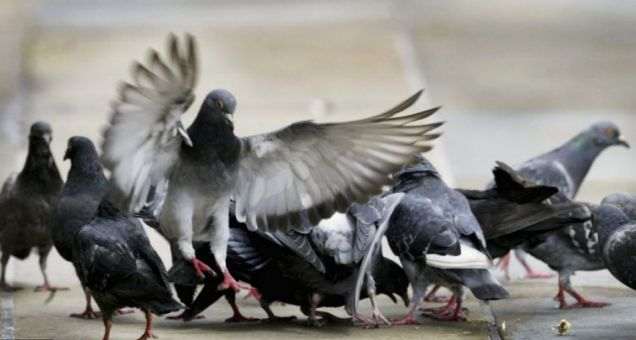 20 фактов о  Китае, о которых интересно узнать