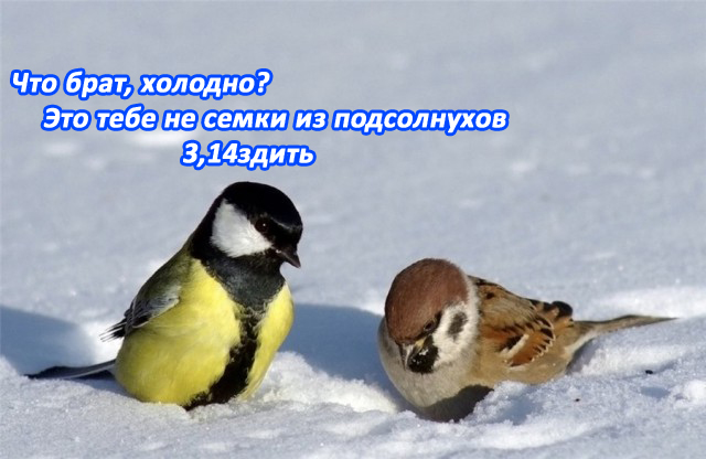 Подборка интересных и веселых картинок