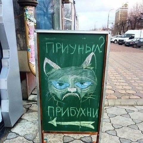 Подборка интересных и веселых картинок