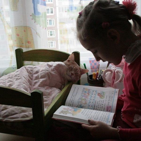 Подборка интересных и веселых фото