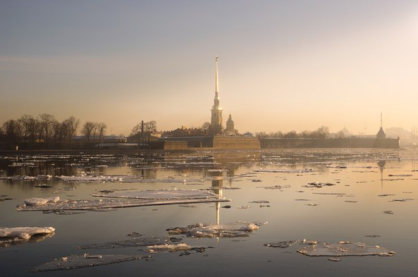 Моменты, запечатлённые на фото и просто позитив 5