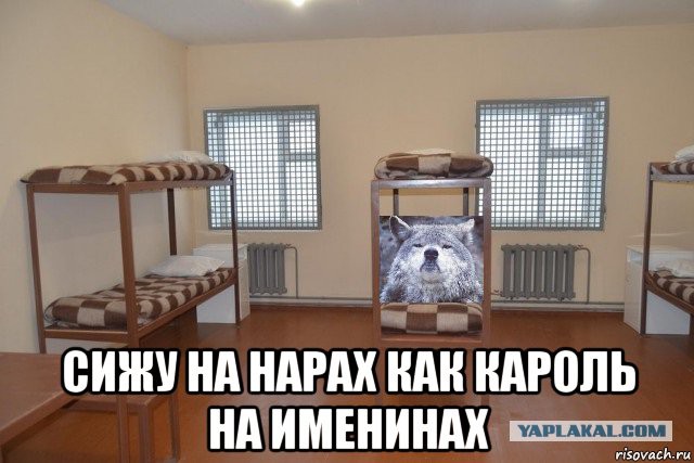 Современные 10 суток административки в подмосковье