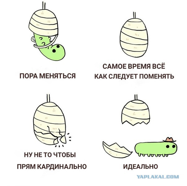 Субботняя деградация