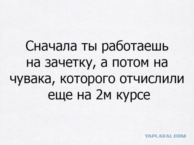 Исповедь бывшей отличницы