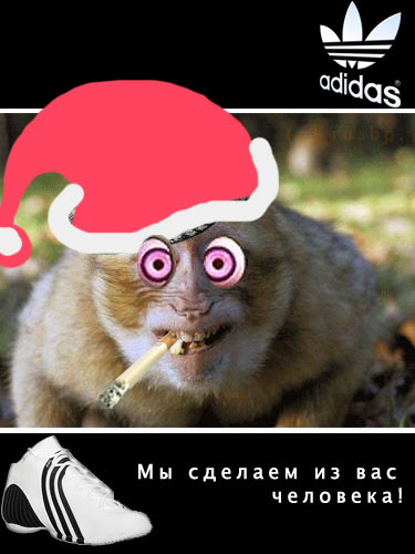 Adidas - мы сделаем из вас человека