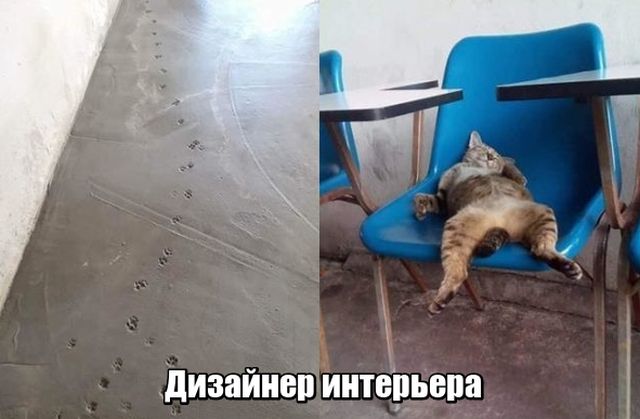 Немного картинок в этот понедельник
