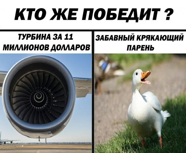 Картинок слегка)