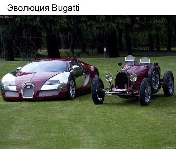 Подборка интересных и веселых картинок