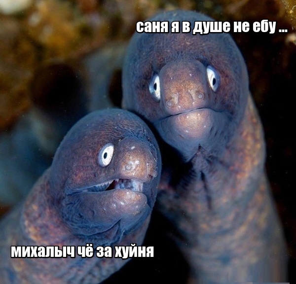 Немного картинок для настроения
