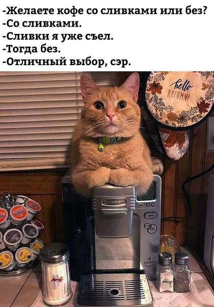 Картинки с надписями, истории и анекдоты