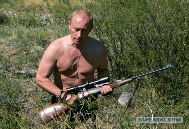 Глубоко копают
