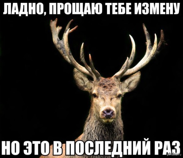 Многие женщины стали пытаться вернуть своих бывших, от которых сами же и уходили