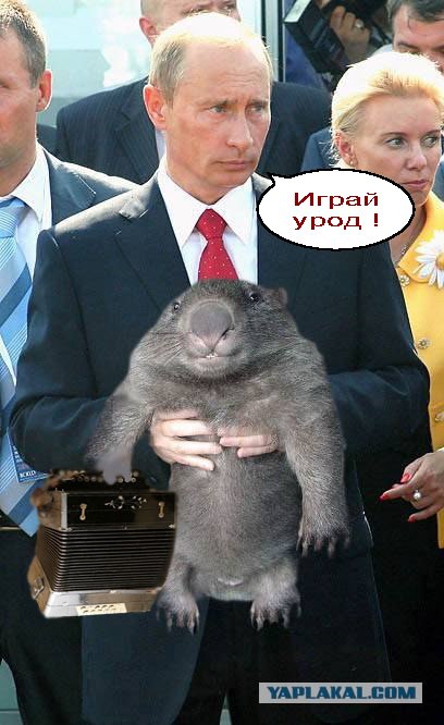 Фотожаба: Путин и зверь