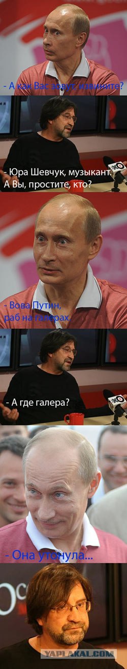 Шевчук и Путин (5 комиксов)