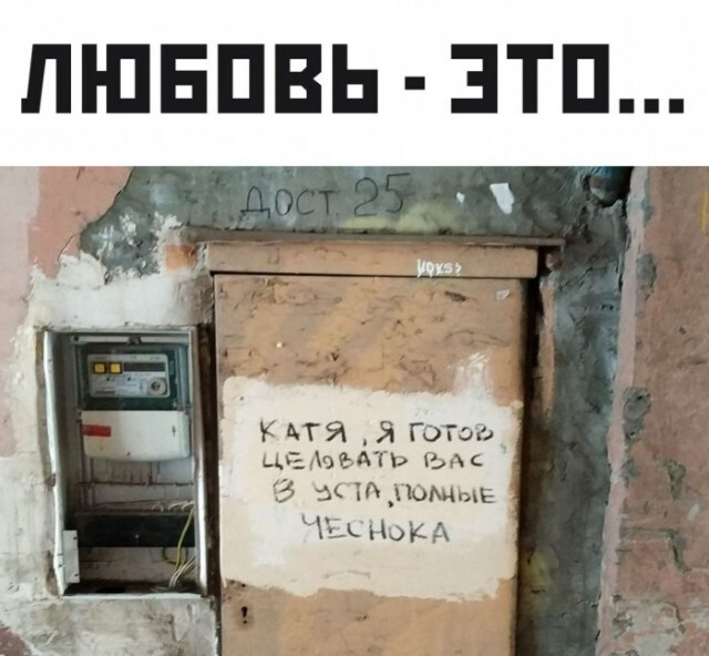 Фотки и картинки: юморные и красивые, забавные и милые 02.11.20