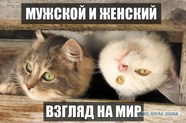 Бредзона 01.04.21