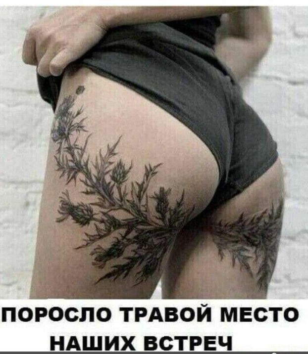 Последняя картинка в вашей Галерее/Загрузках