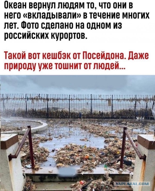 Кретинизмы из сети 16.08.2021