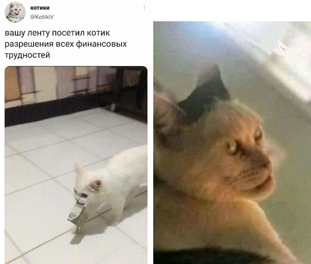 Картинки и мемы на все случаи жизни