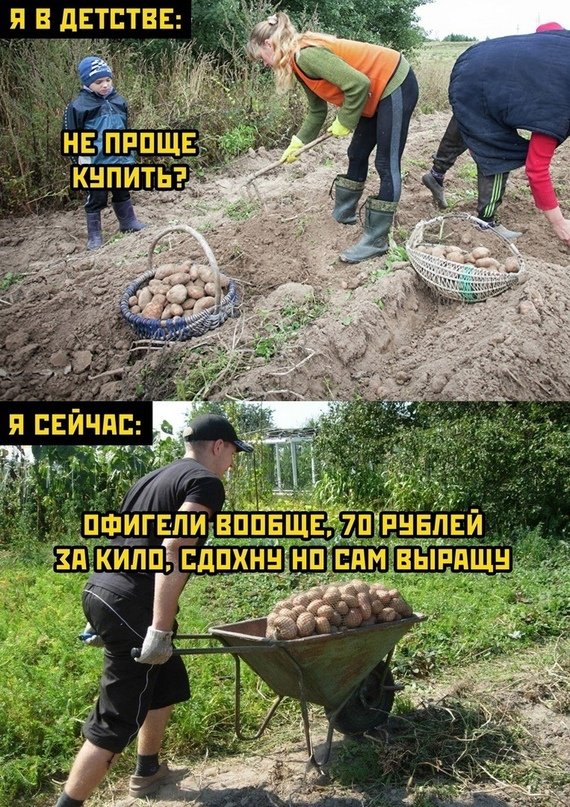 Картинки и мемы, всем прекрасных выходных