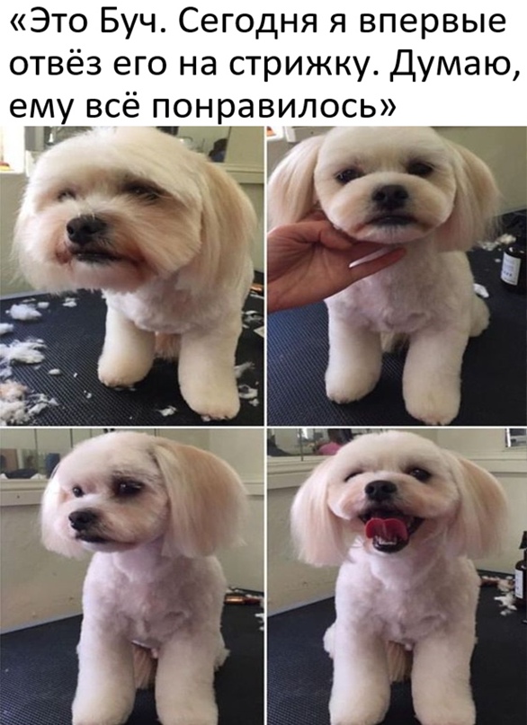 Картинки и мемы 08.10.2021
