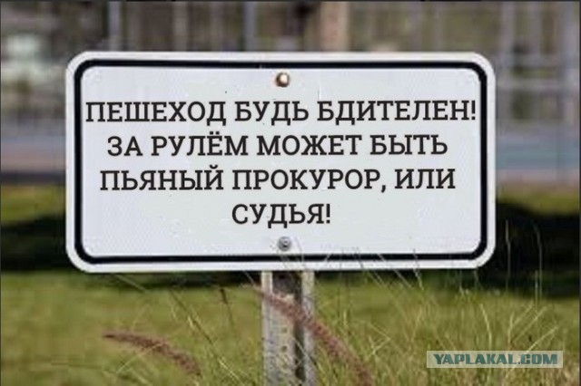 Без срока давности. 13 лет назад мама-судья отмазала...
