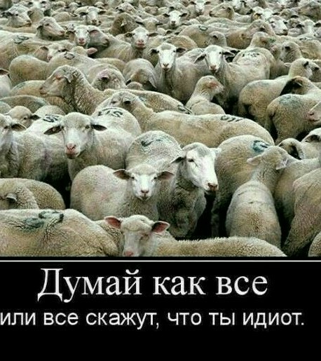 Проболтались Ковид до 2024 года