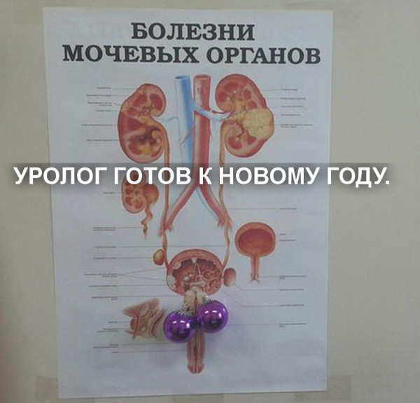 Вторник, а значит пора начинать деградировать...